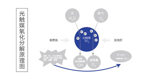 專業空氣凈化，科萊環保為您的健康保駕護航——上門除甲醛與異味工程技術服務詳解